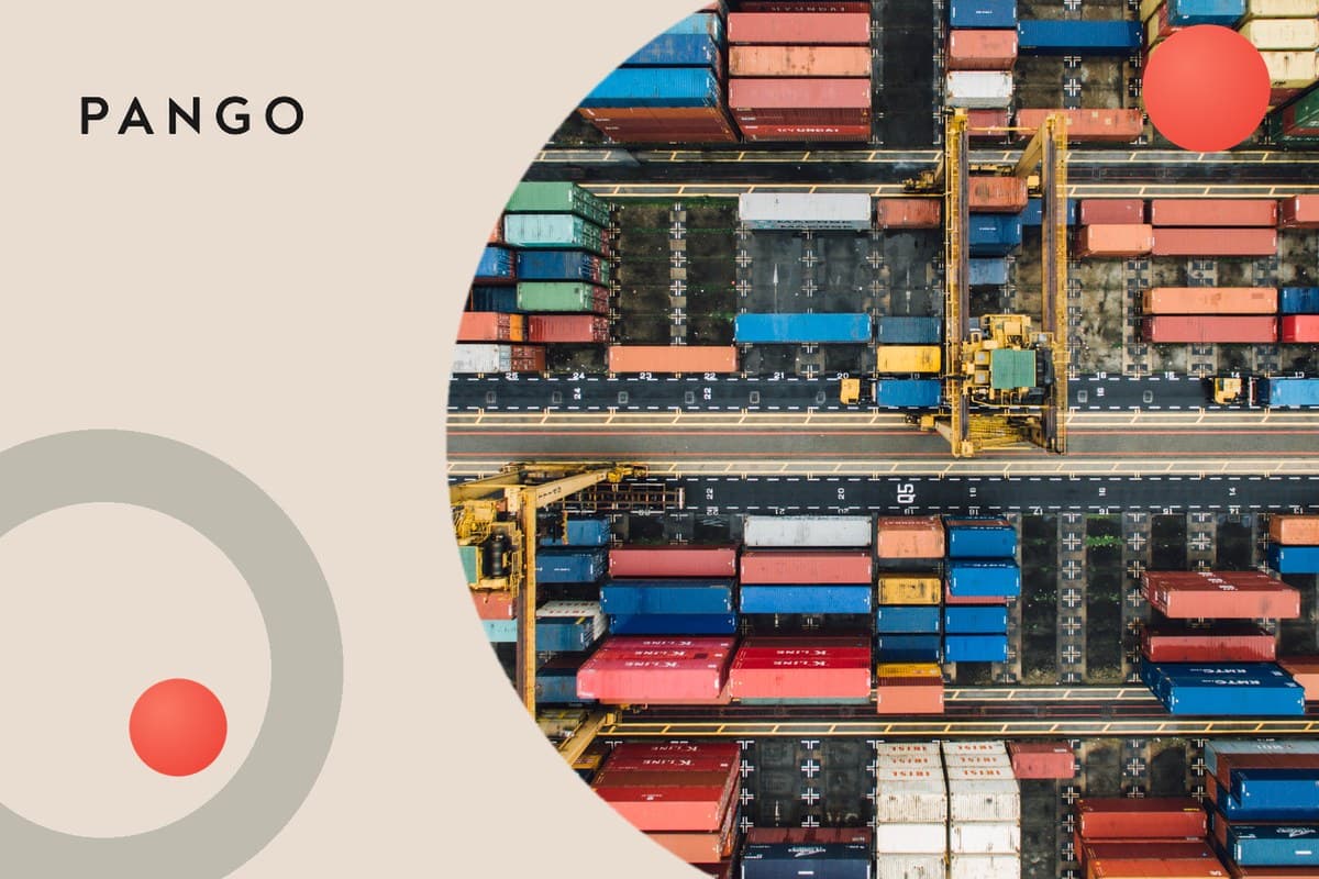 Cross-Border Returns: How to Stop the Margin Bleed