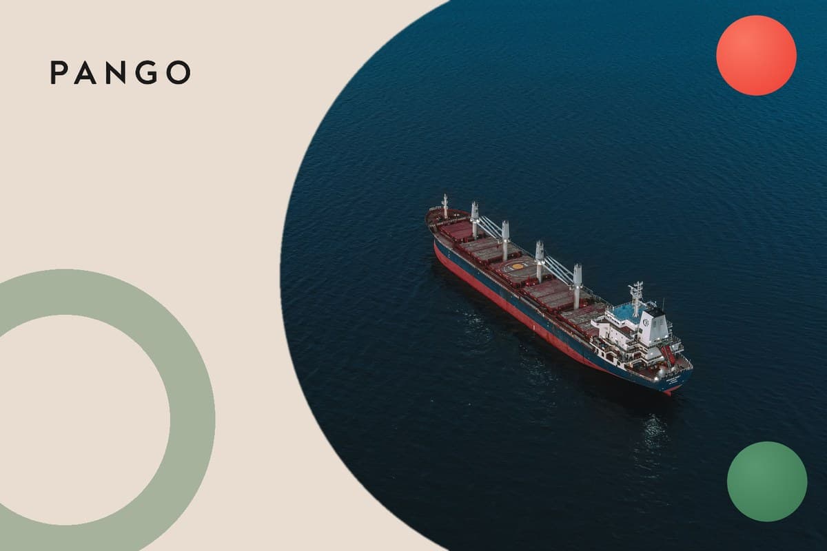 Cross-Border Returns: How to Stop the Margin Bleed