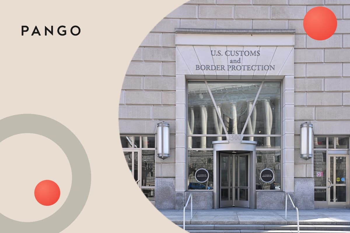 'Customs Release' on SHEIN: What 'Customs Released' and 'CBP Release' Mean, How Long It Takes, and What Comes Next