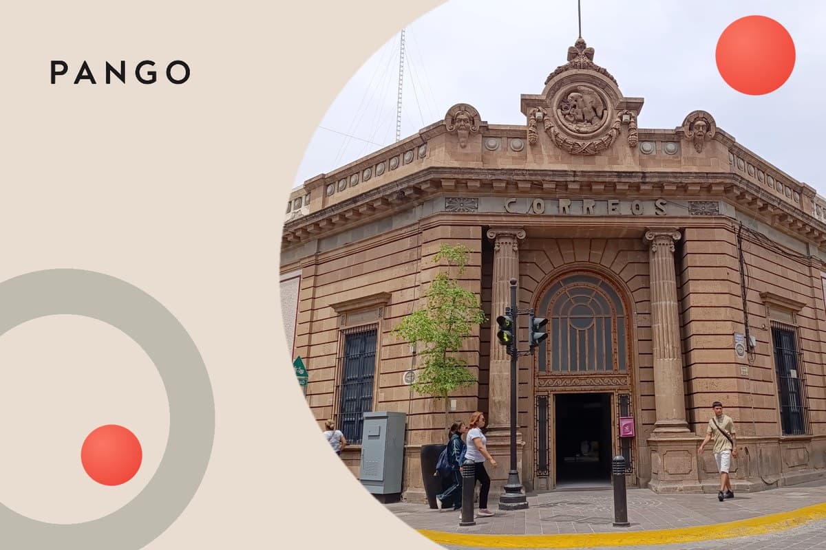 Delivery Progress Enquiry: qué significa y traducción, dónde aparece, qué quiere decir 'no information', cuánto esperar y qué hacer