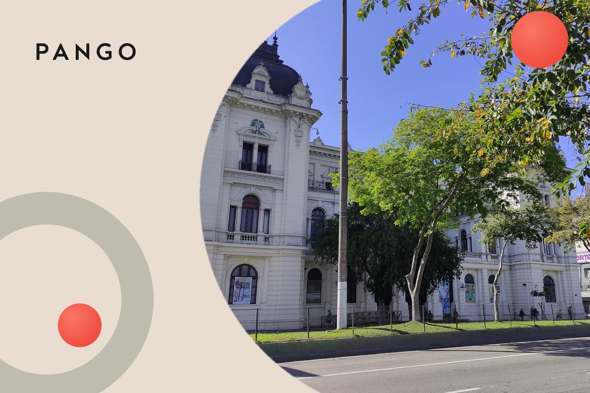 Delivery Progress Enquiry: tradução e o que significa, quais status aparecem nessa página, o que quer dizer 'no information', quanto esperar e o que fazer (com traducción em espanhol e a resposta em inglês)