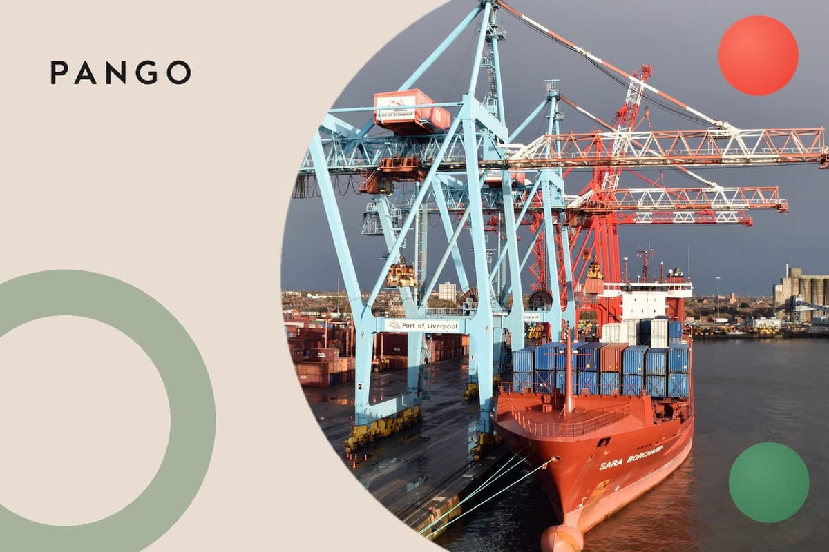 Easyship Alternative: Cross-Border Labels, Priced by the Shipment