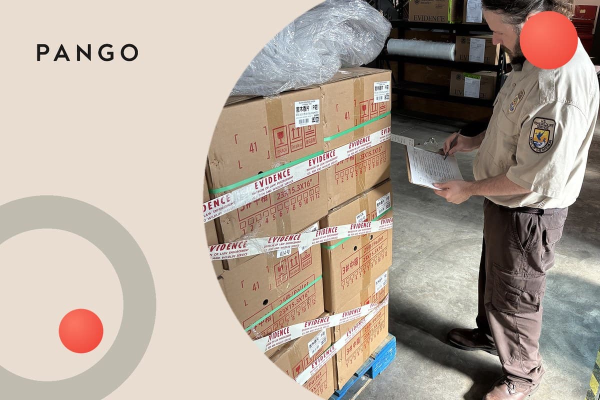 GPSR for Ecommerce Sellers: Listings, Responsible Person, Recalls