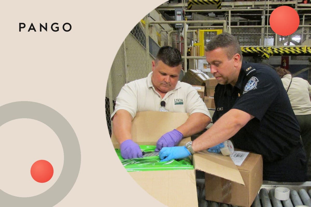 How Long Does Temu Take to Deliver After Customs Clearance? The Temu Customs Scans in Order ('Export Customs Clearance Success', 'Prepared for Customs Clearance', 'Being Handed Over by Customs'), What Each Means, What Temu Publishes, and When to Act