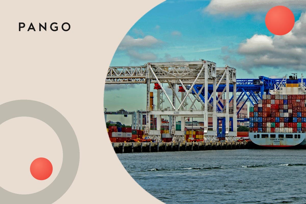 Metapack Alternative: Delivery Management, Built to Fit