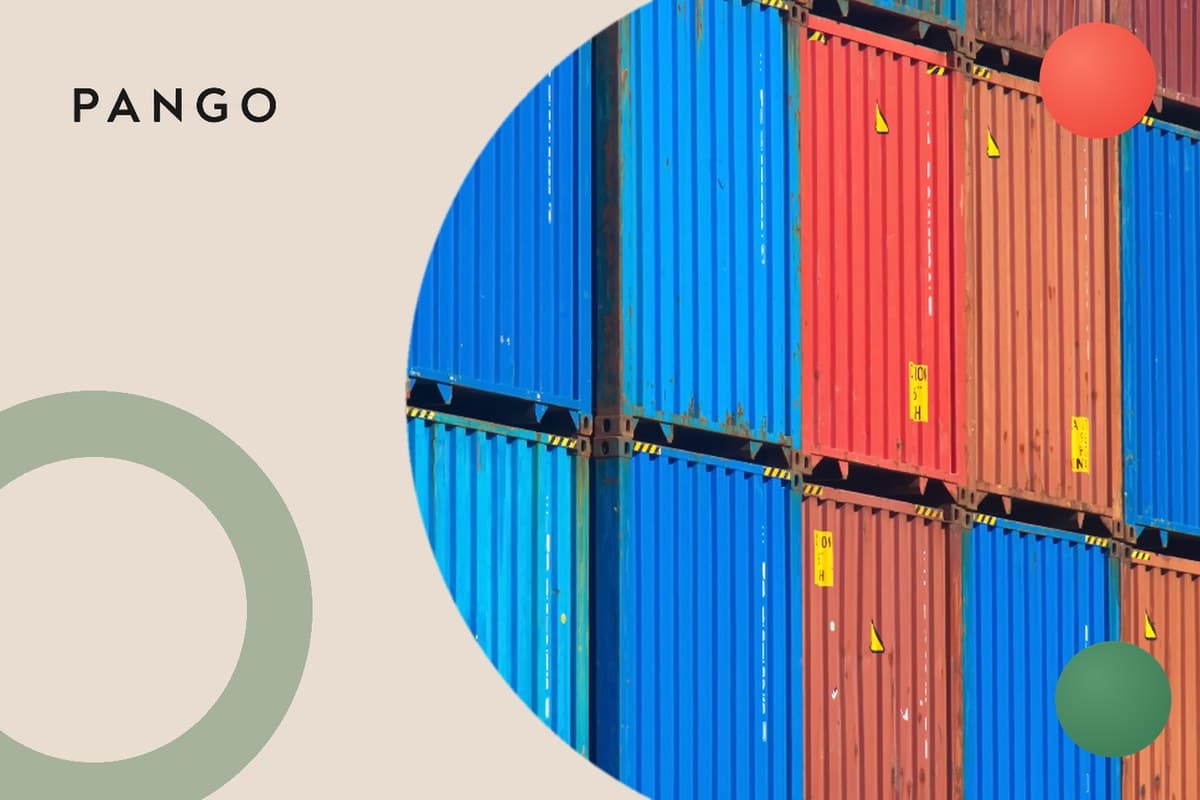 Package Stuck in Customs: Why It Happens and What to Do