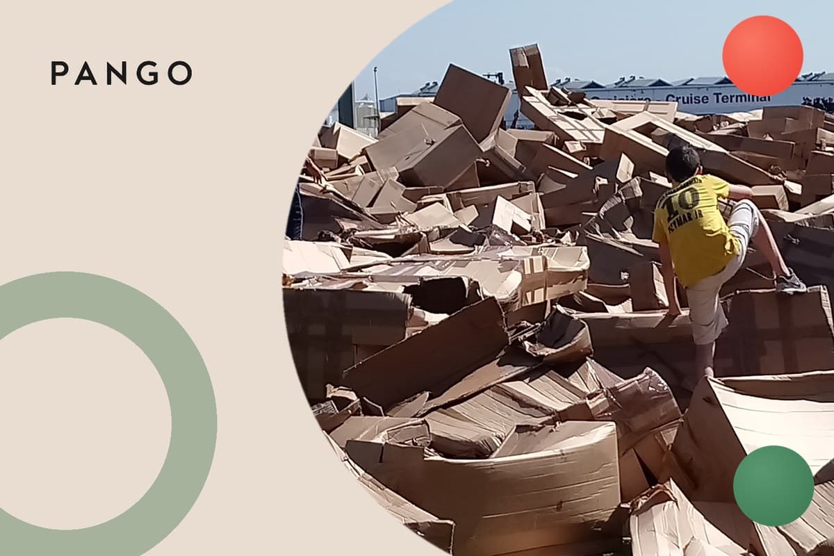 Parcel Damaged in Transit? What to Do and Who Pays