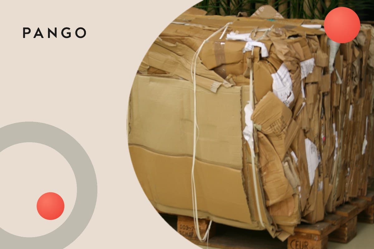PPWR for E-Commerce Sellers: The EU Packaging Rules Now in Force