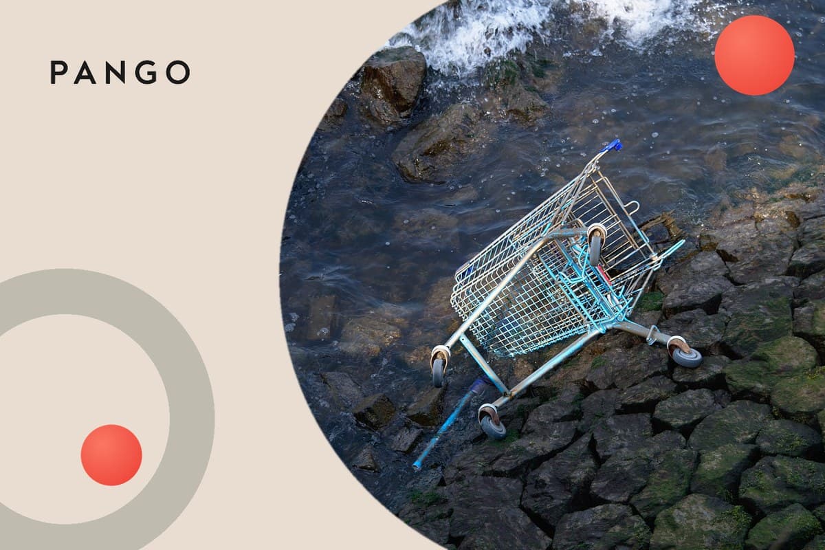Shipping Cart Abandonment: Causes and How to Fix It