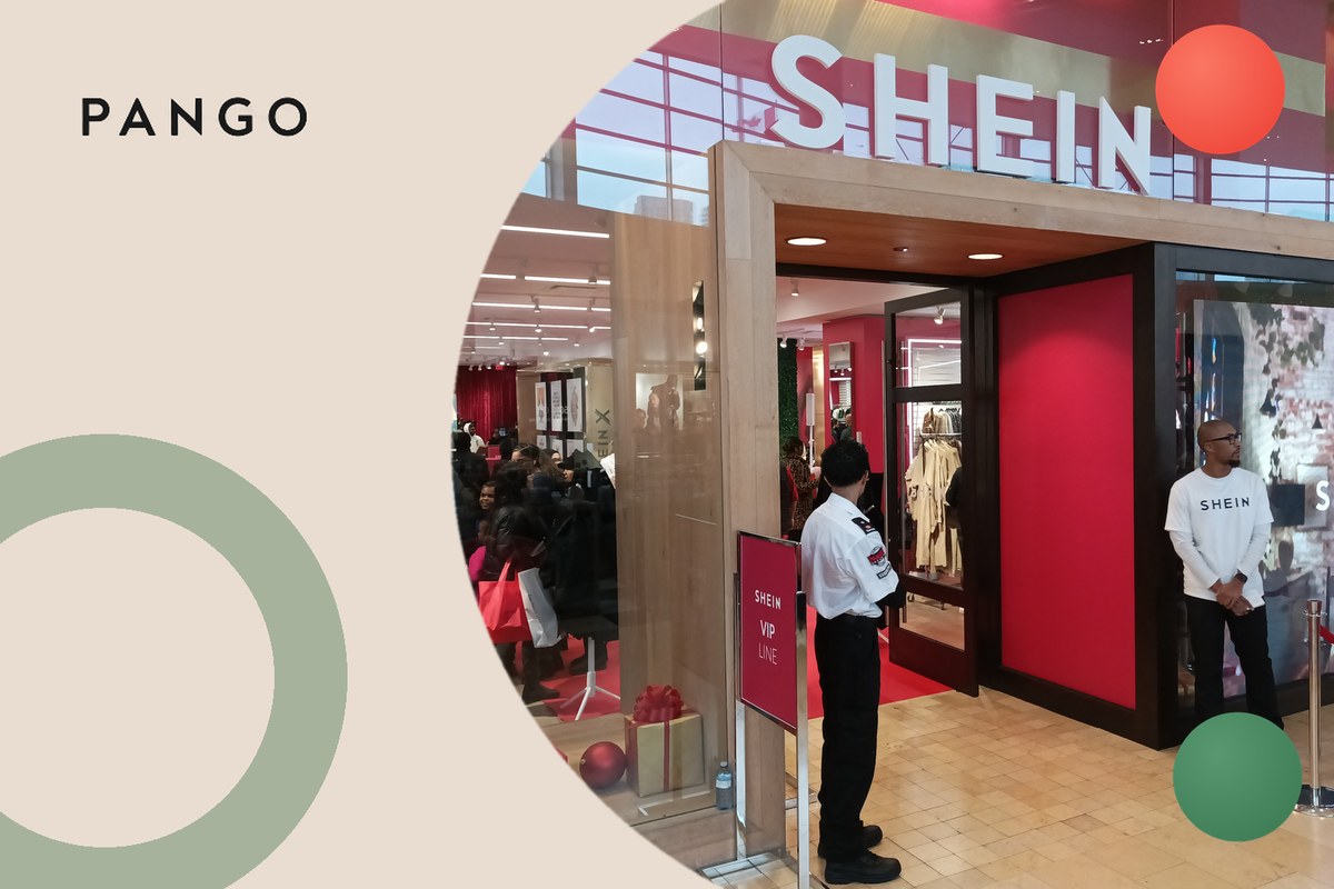 SHEIN Tracking Statuses: What Each One Means, What Comes Next, and What ...